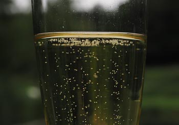 wino korzenne lodz